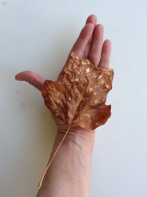 Lesley Garratt - Leaf Hand