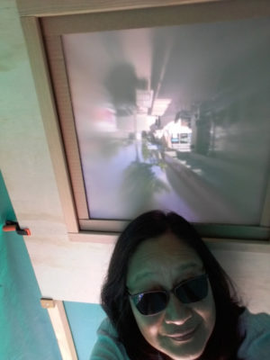 Selfie Box - Willa Downing - Camera Obscura