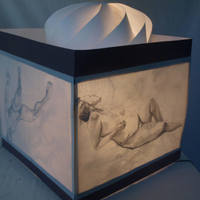 Claire Moore - untitled shadow-box with moss roots and parchment drawings - 28"x28"x32"
