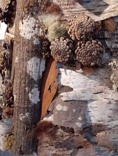 Forest Pendulum (detail)