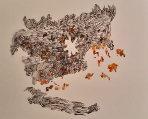 Forming Thickets, Installation part