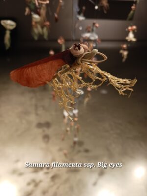 (detail, new species)