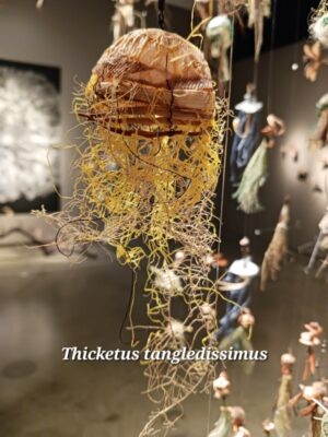 (detail, new species)