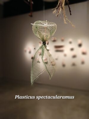 (detail, new species)