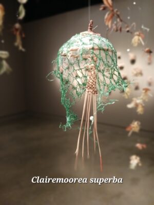 (detail, new species)