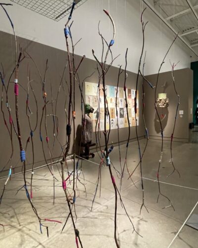 Connectome