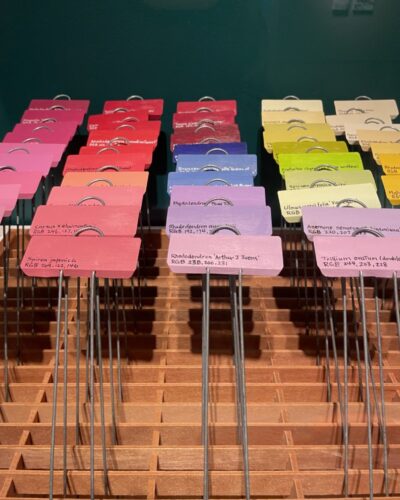 Horticultural Colour Chart (detail)