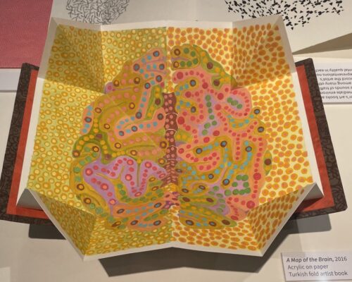 A Map of the Brain