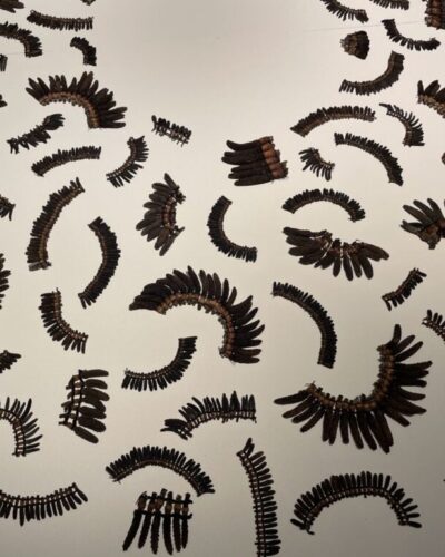 A Tangled Thicket Cora Li-Leger