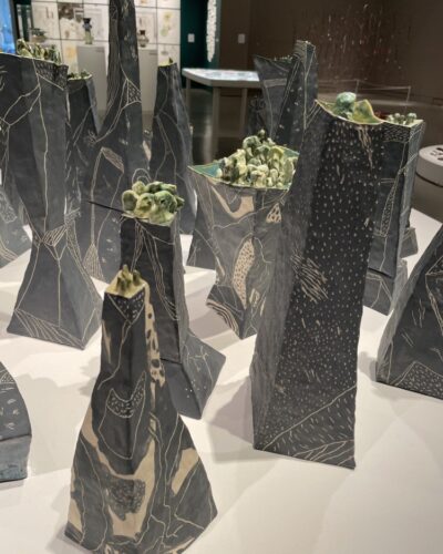 A Tangled Thicket Willa Downing