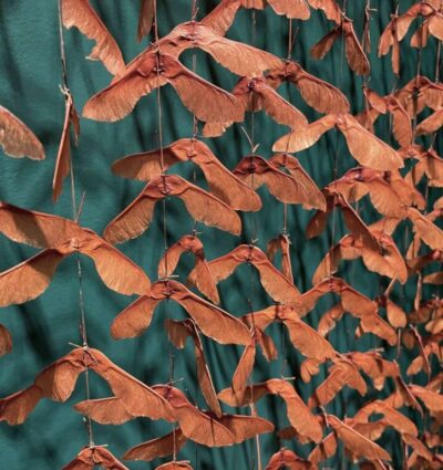 A Tangled Thicket Cora Li-Leger