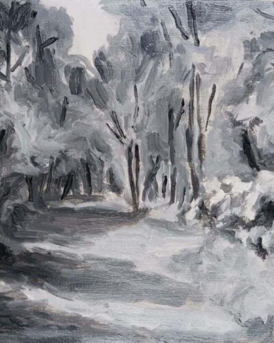 TheWideWoodPath