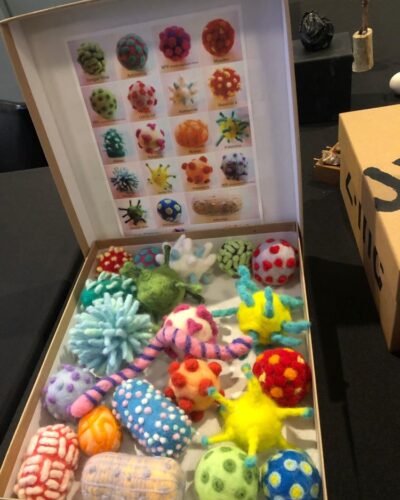 A Tangled Thicket – Objects for Pondering A Tangled Thicket – Objects for Pondering